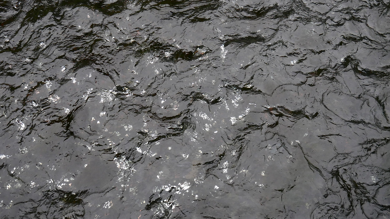 Geldstücke glitzern unter der Wasseroberfläche