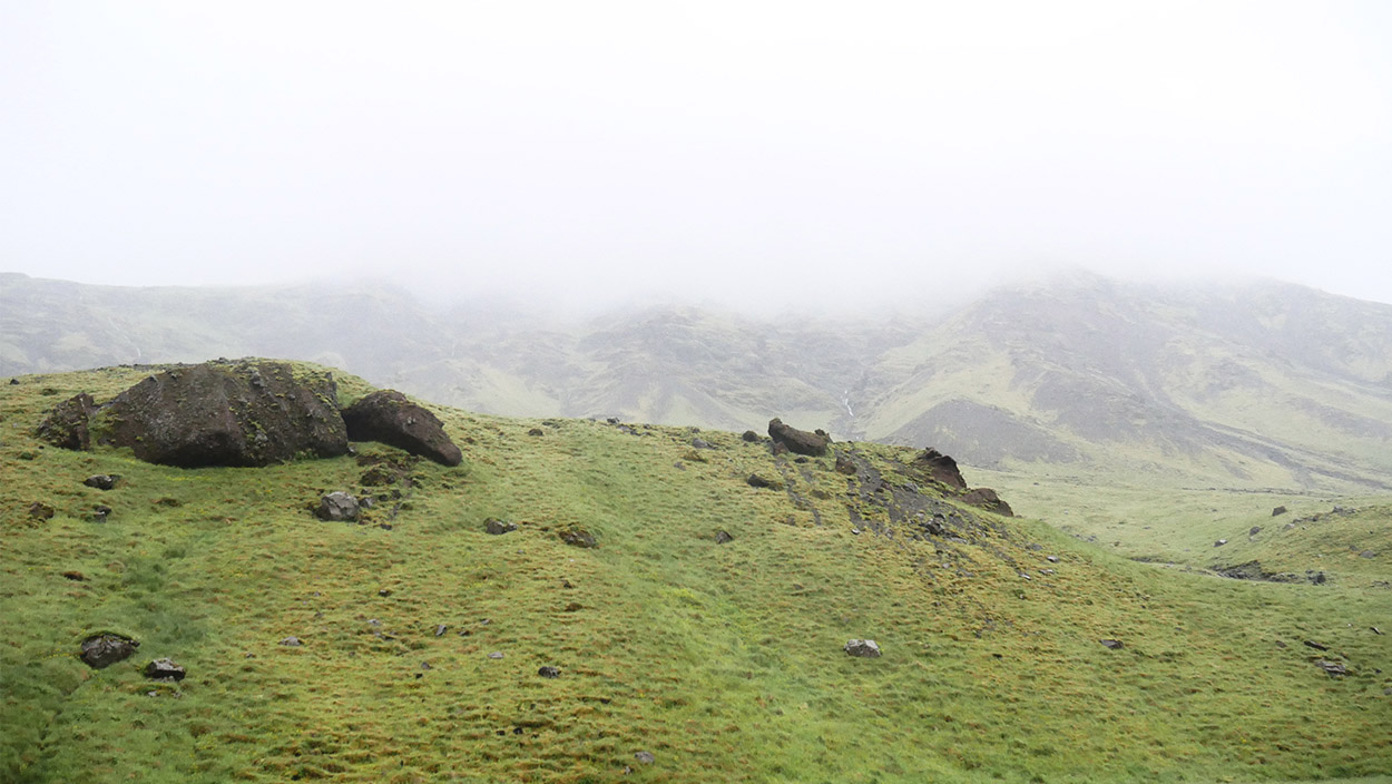 Blick auf von Moos überzogene Landschaft mit Felsen