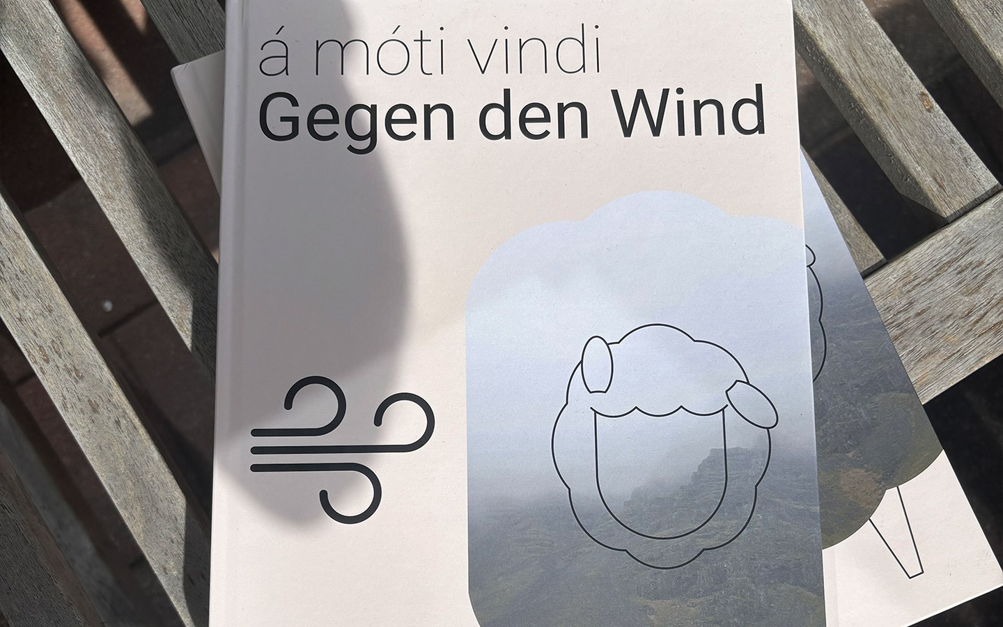 Bild des Buch Covers auf einer Bank in der Sonne