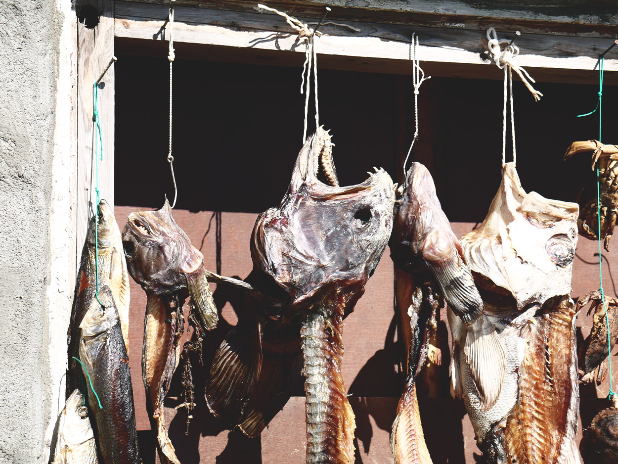 sun dried fish